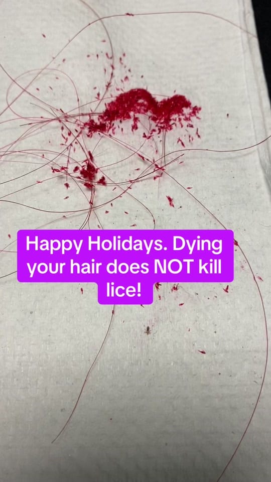 Post 1 by The Lice Goddess on TikTok (video)
