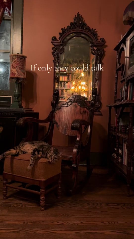 Post 5 by AmongtheMyrtles on TikTok (video)