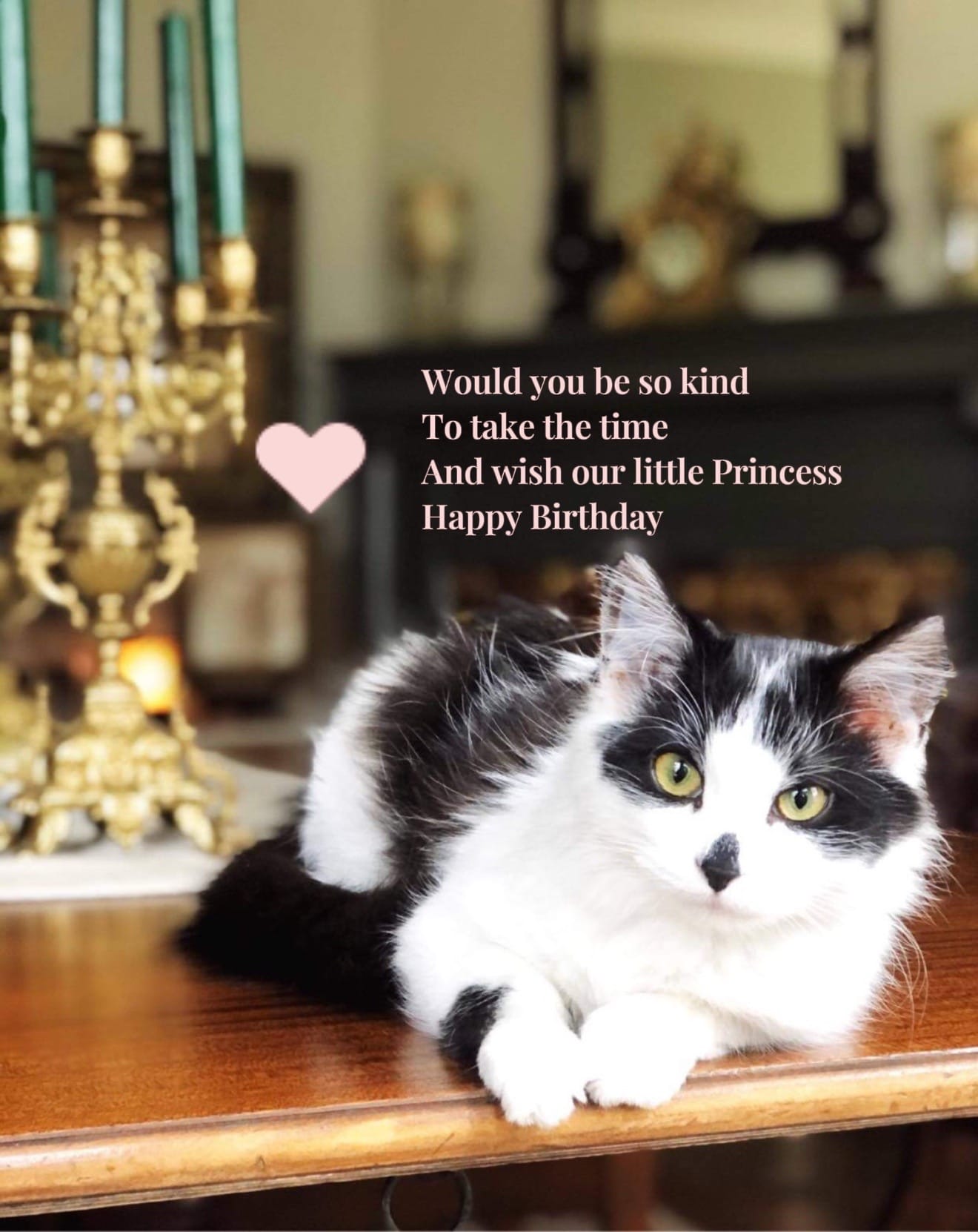 Post 4 by AmongtheMyrtles on TikTok (video)