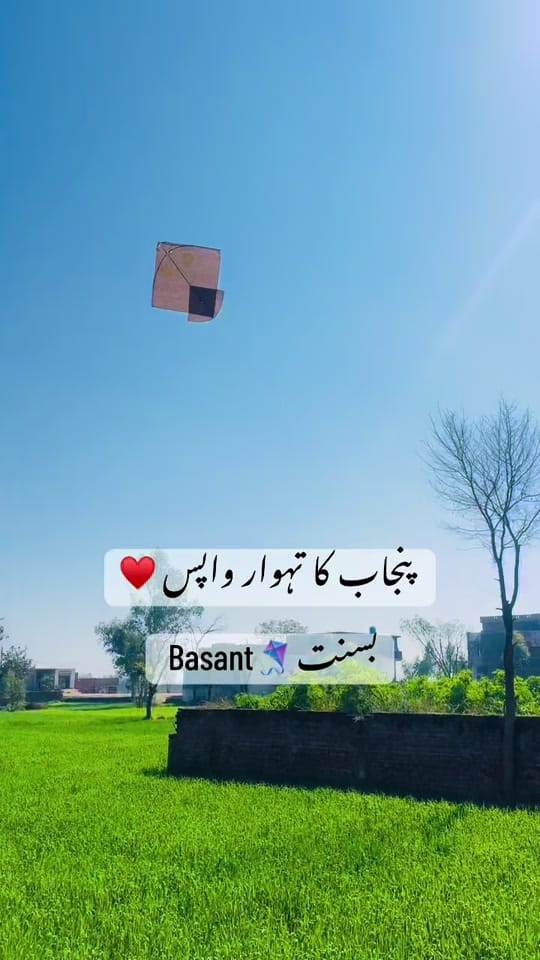 Post 5 by Power Punjab🥷 on TikTok (video)