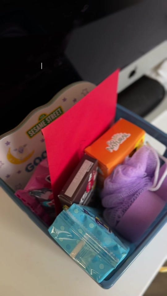 Post 5 by Lily Sargent | Mom of 2 on TikTok (video)