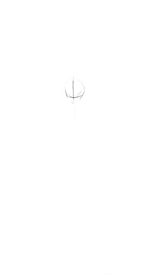Post 2 by jimmyxsparrow on TikTok (video)