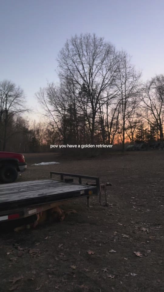 Post 8 by Samantha Morgan on TikTok (video)