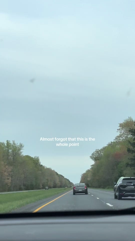 Post 7 by Stormiri on TikTok (video)
