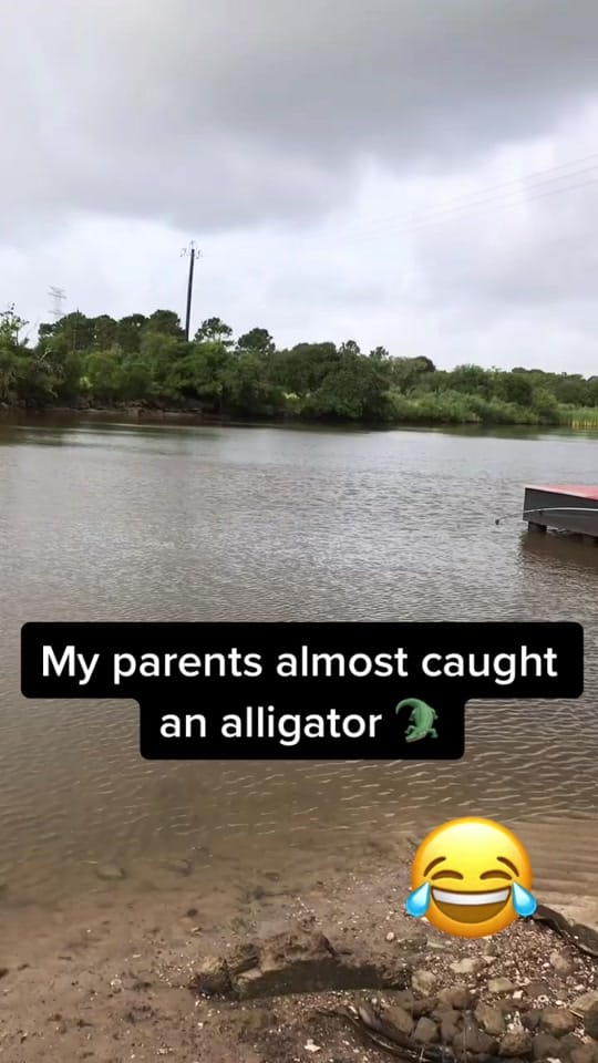 Post 9 by MillionDollarDg on TikTok (video)