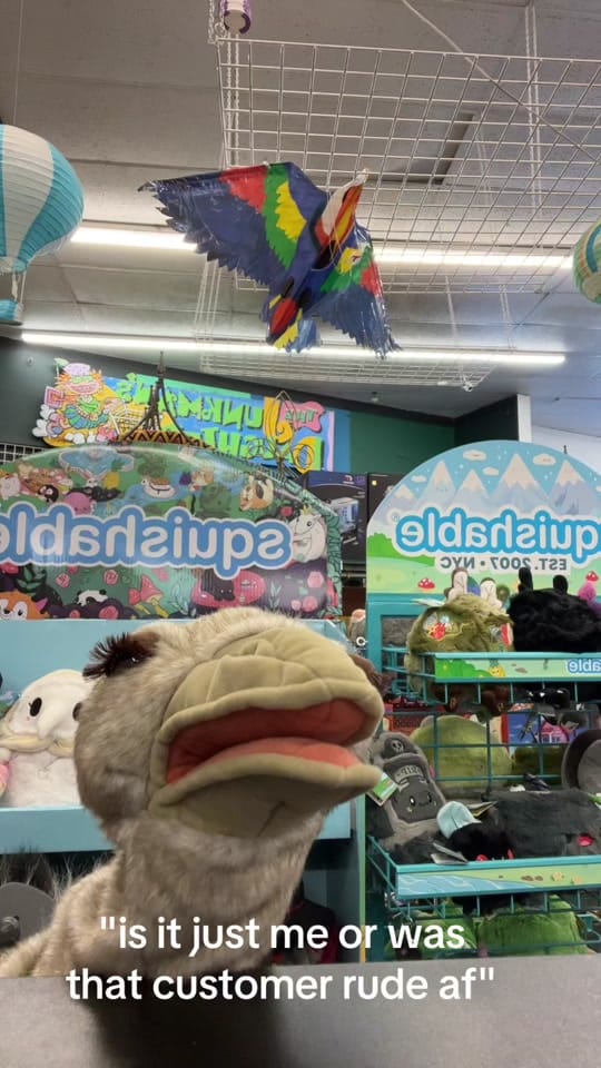 Post 4 by The Junkman’s Daughter on TikTok (video)