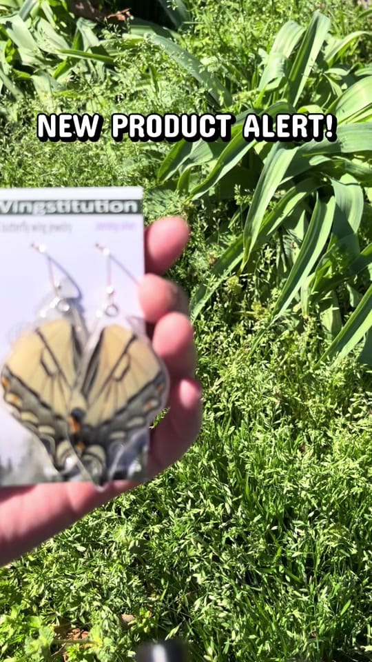 Post 3 by The Junkman’s Daughter on TikTok (video)