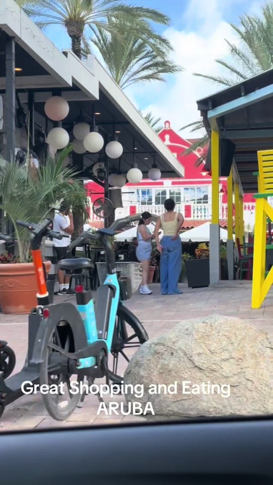 Post 7 by Ruth Kaufman on TikTok (video)