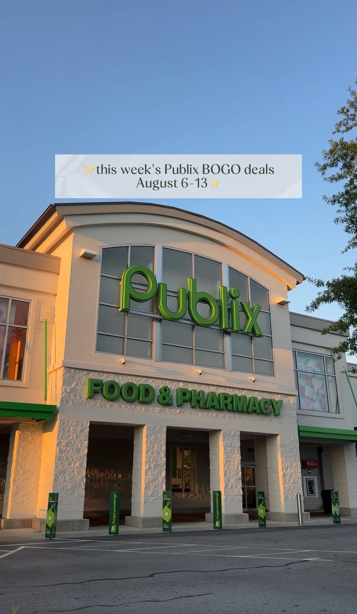 Post 3 by publixshopper on TikTok (video)