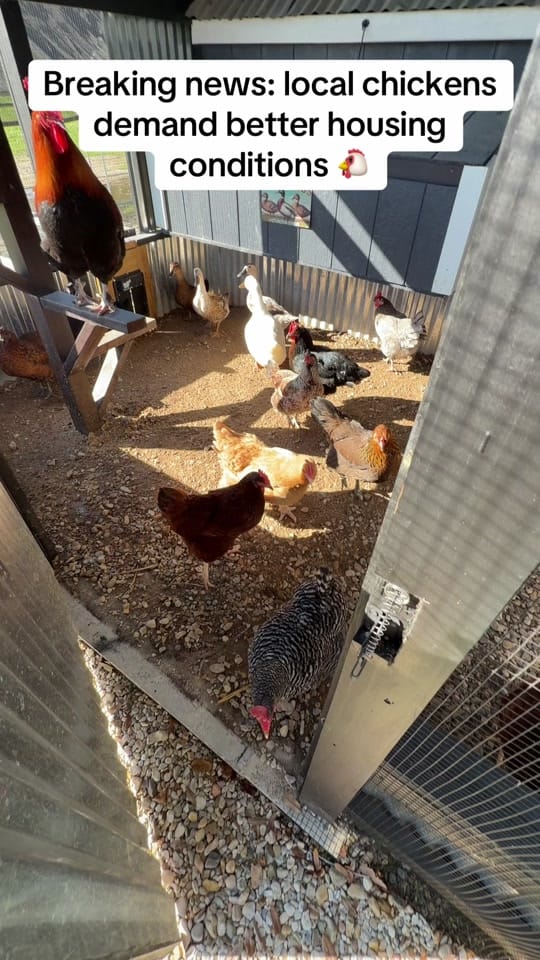 Post 8 by Kroks and Socks Outdoors on TikTok (video)