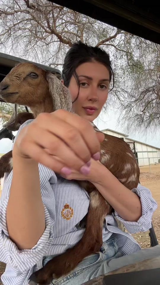 Post 4 by Jennie Condie on TikTok (video)