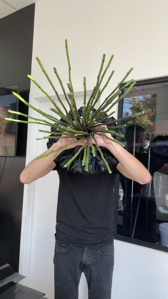 Post 9 by MaxAdikian on TikTok (video)
