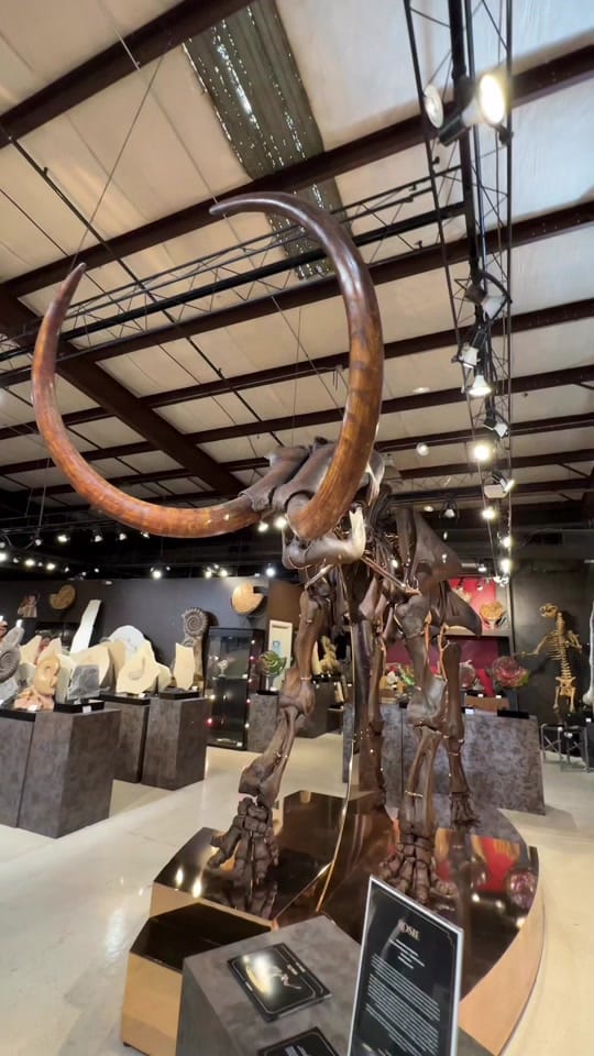 Post 10 by NorthernMaineMinerals on TikTok (video)