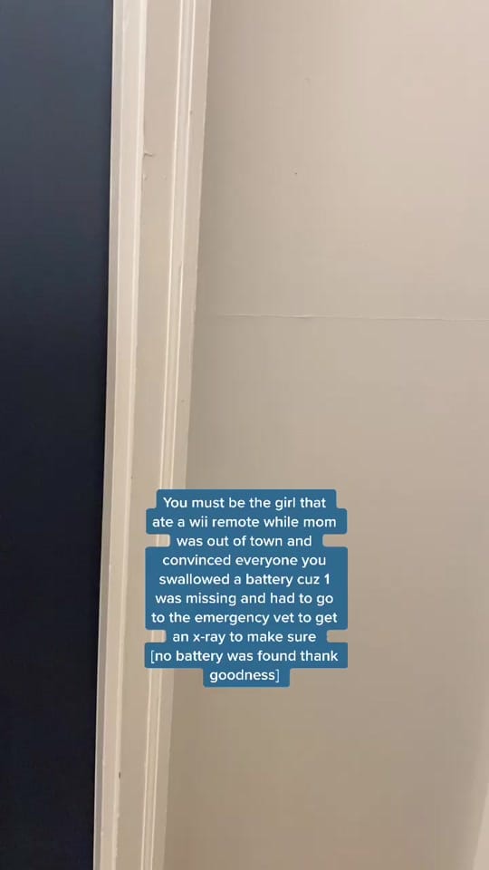 Post 6 by PointerSibs on TikTok (video)
