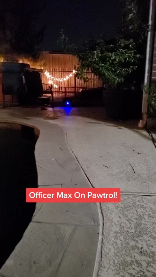 Post 8 by Katrina Olsen on TikTok (video)