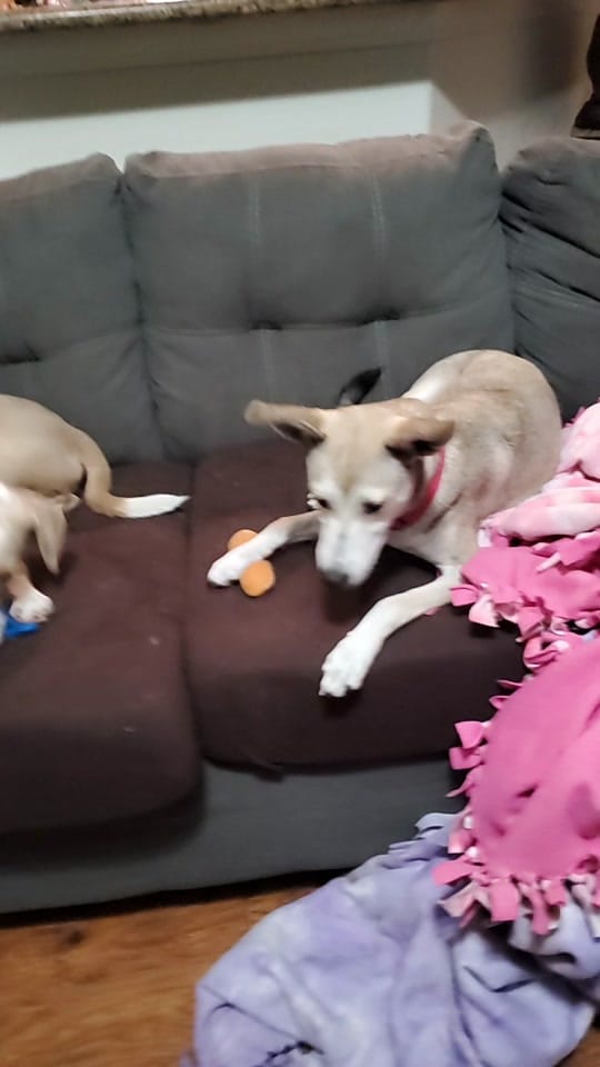 Post 9 by Katrina Olsen on TikTok (video)