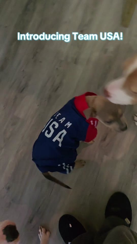 Post 4 by Katrina Olsen on TikTok (video)