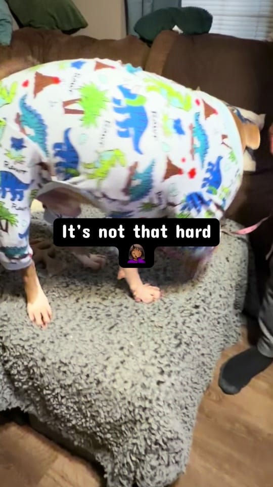 Post 2 by CiCi🐾 UGC|TTS on TikTok (video)