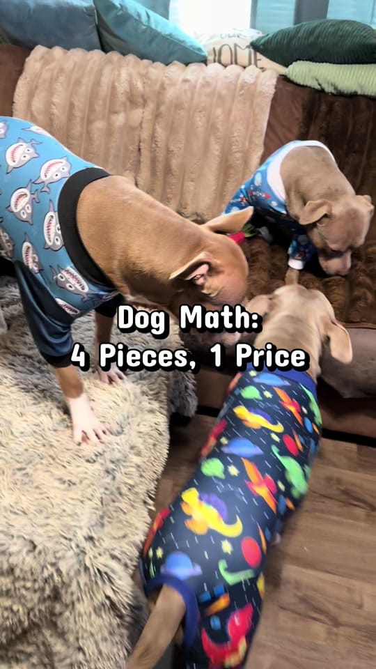 Post 5 by CiCi🐾 UGC|TTS on TikTok (video)