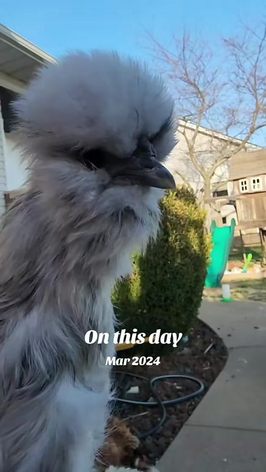 Post 3 by Angie🦋 on TikTok (video)