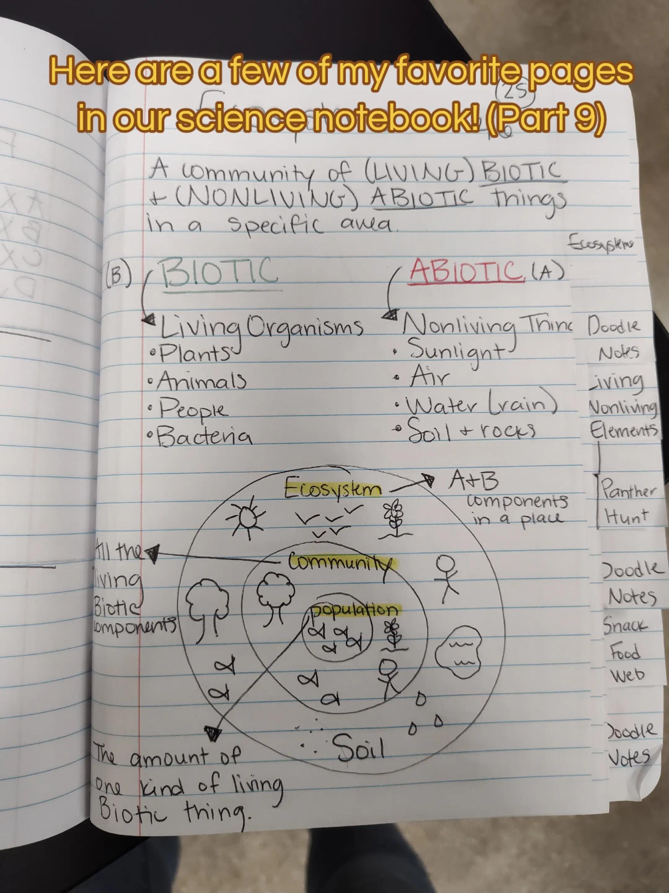 Post 4 by Mrs Texas Teacher on TikTok (video)