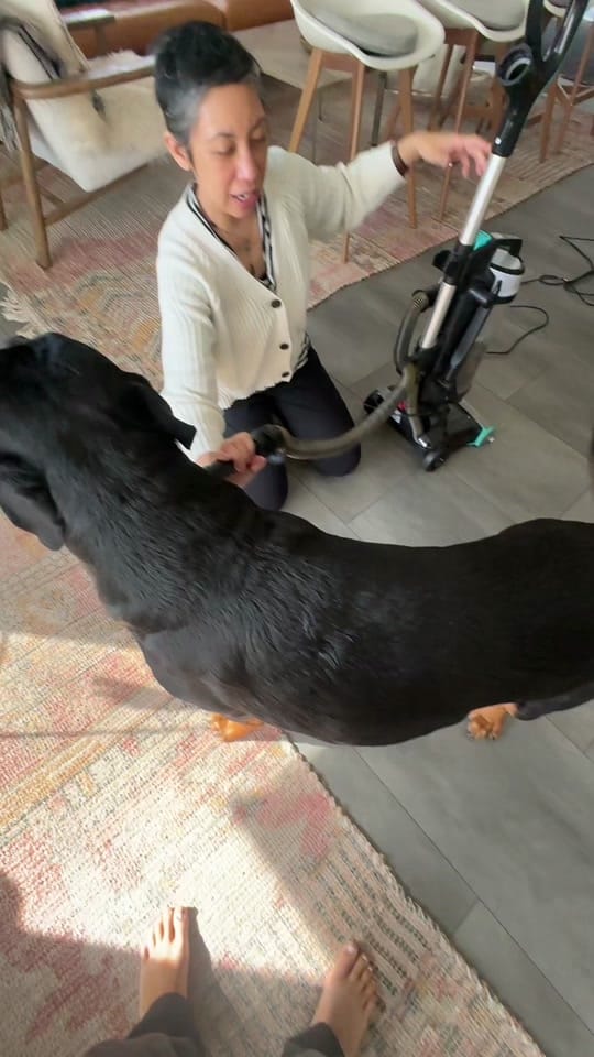 Post 2 by Coco <3 on TikTok (video)