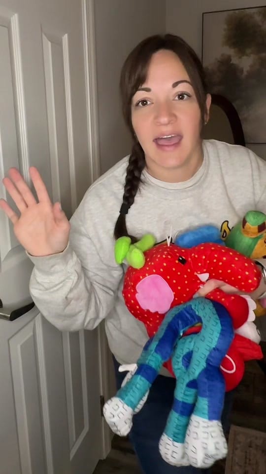 Post 1 by Paige Robertson on TikTok (video)