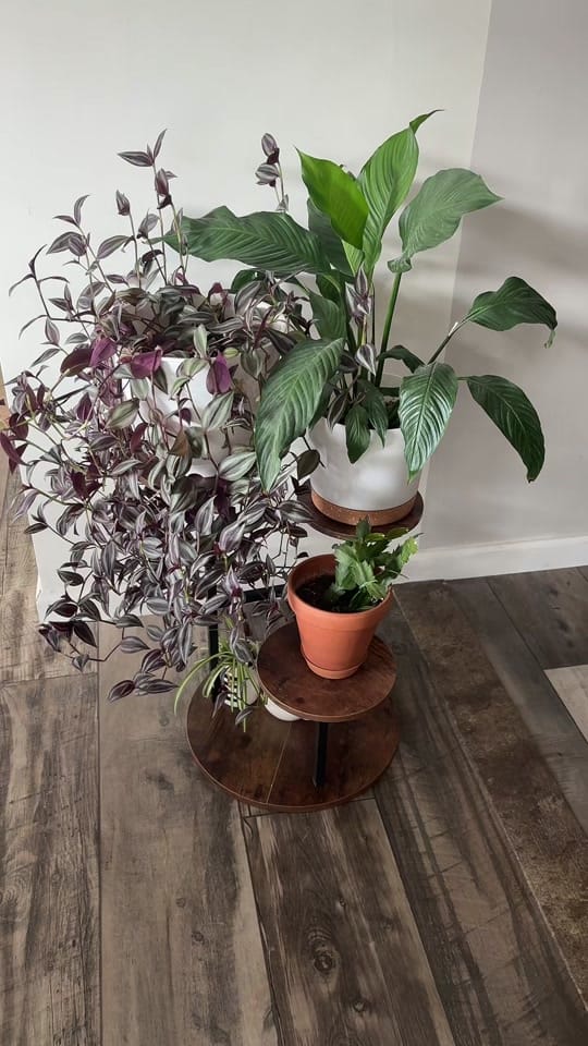 Post 9 by Paige Robertson on TikTok (video)