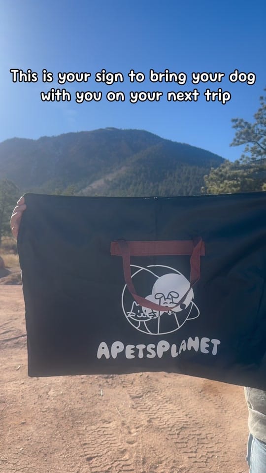 Post 5 by APetsPlanet on TikTok (video)