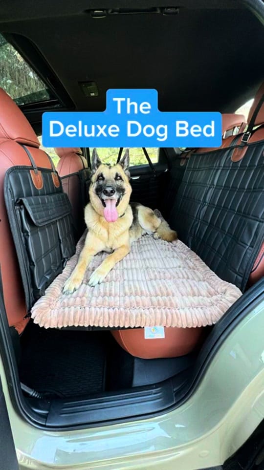 Post 7 by APetsPlanet on TikTok (video)