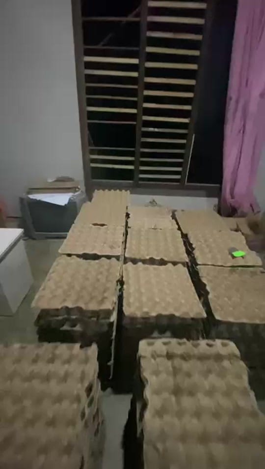 Post 2 by Bustanil on TikTok (video)