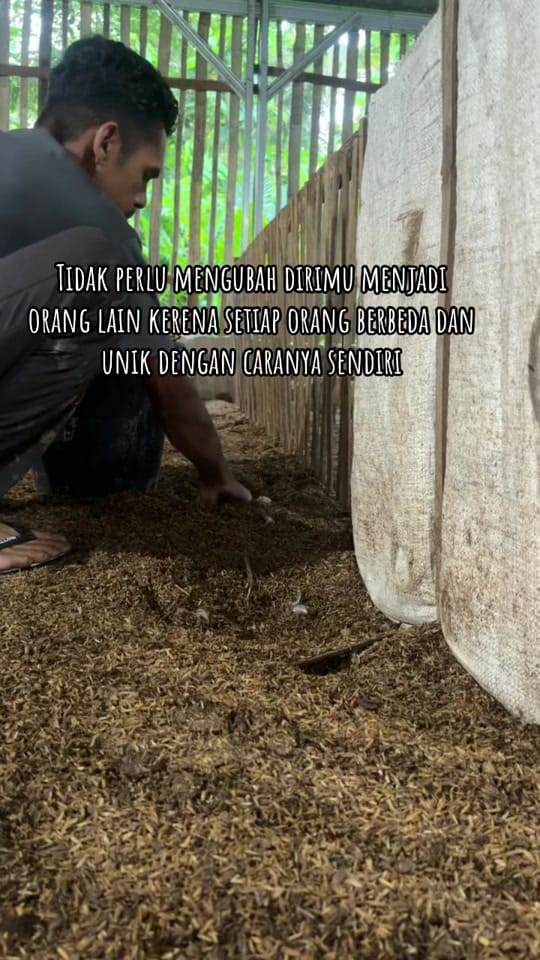 Post 6 by Bustanil on TikTok (video)