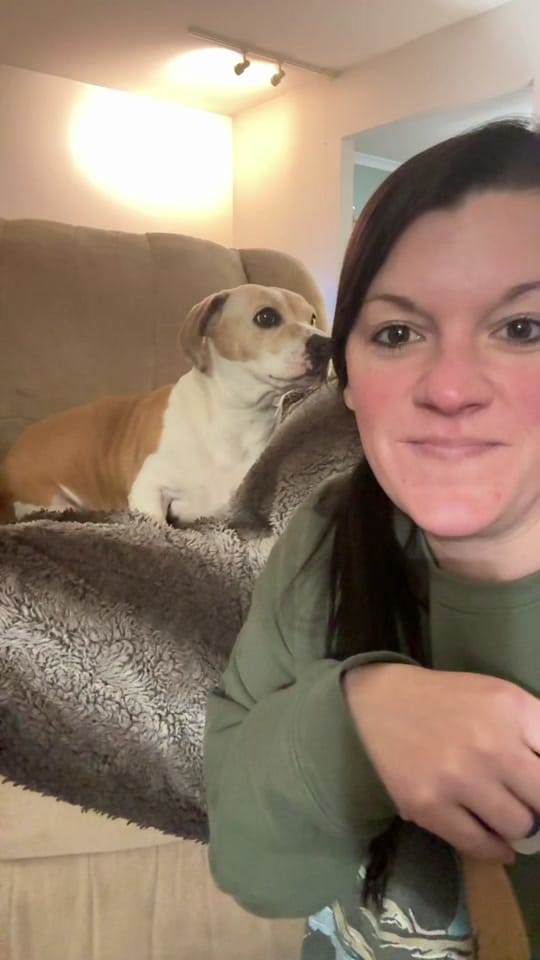 Post 8 by You Me & The Dogs on TikTok (video)