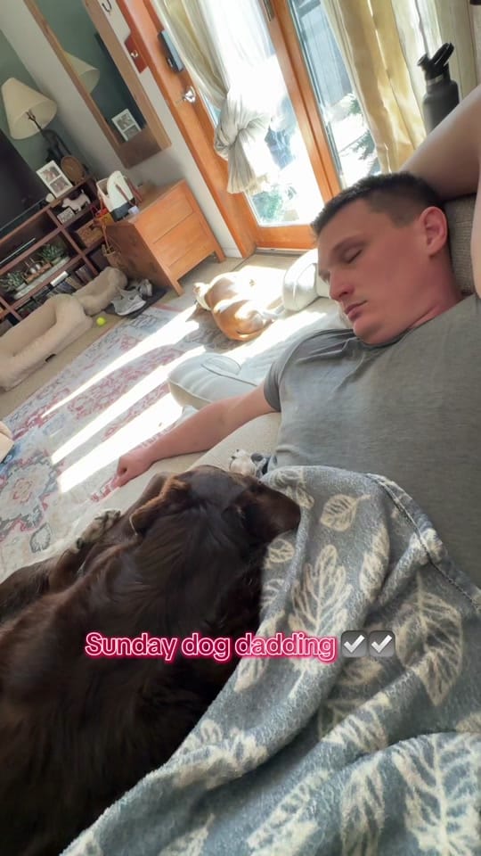 Post 5 by You Me & The Dogs on TikTok (video)