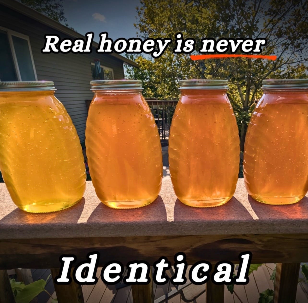 Post 9 by Homers Honeybee on TikTok (video)
