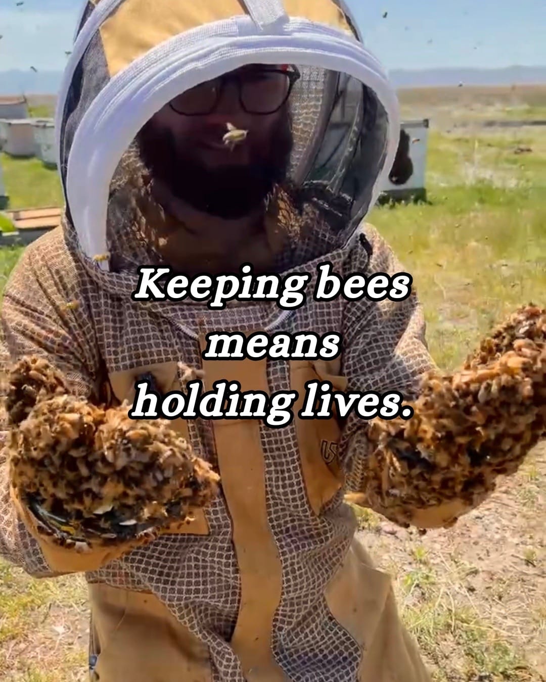 Post 2 by Homers Honeybee on TikTok (video)