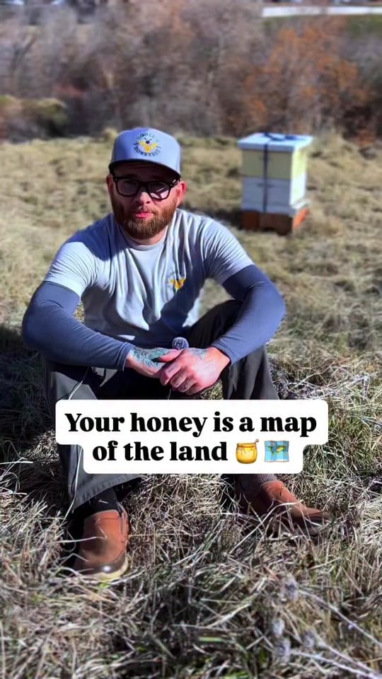 Post 3 by Homers Honeybee on TikTok (video)