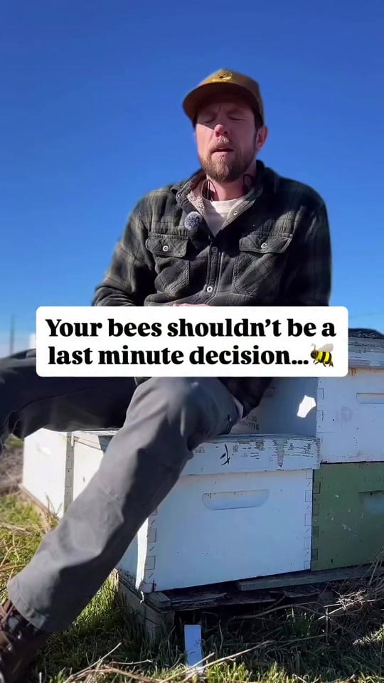 Post 8 by Homers Honeybee on TikTok (video)