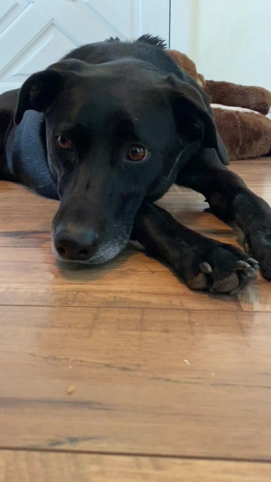 Post 9 by Kelsey Smith on TikTok (video)