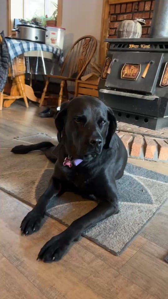 Post 2 by Kelsey Smith on TikTok (video)