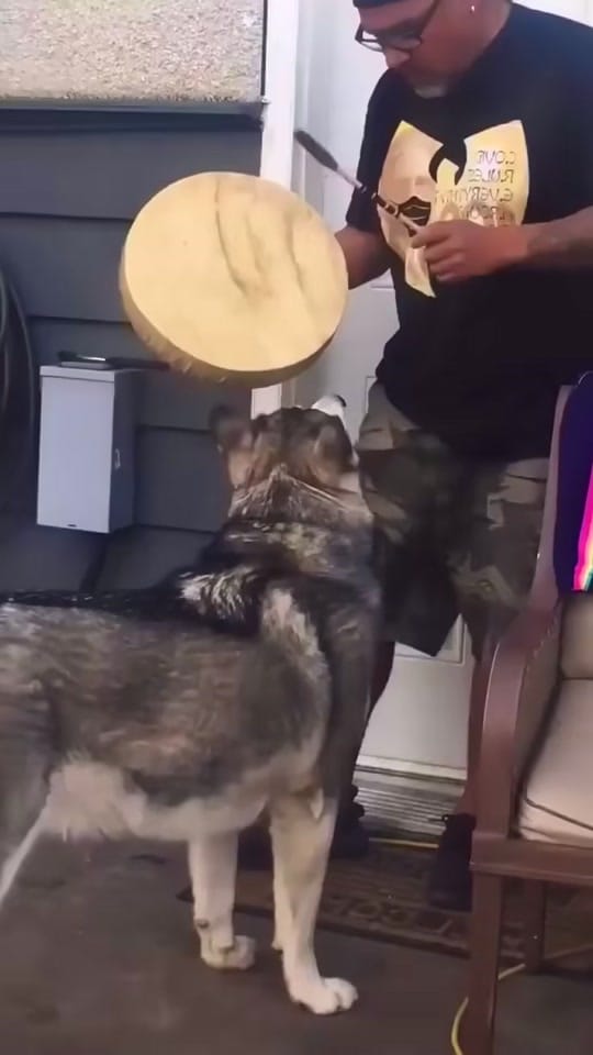 Post 9 by Alma Hanna on TikTok (video)