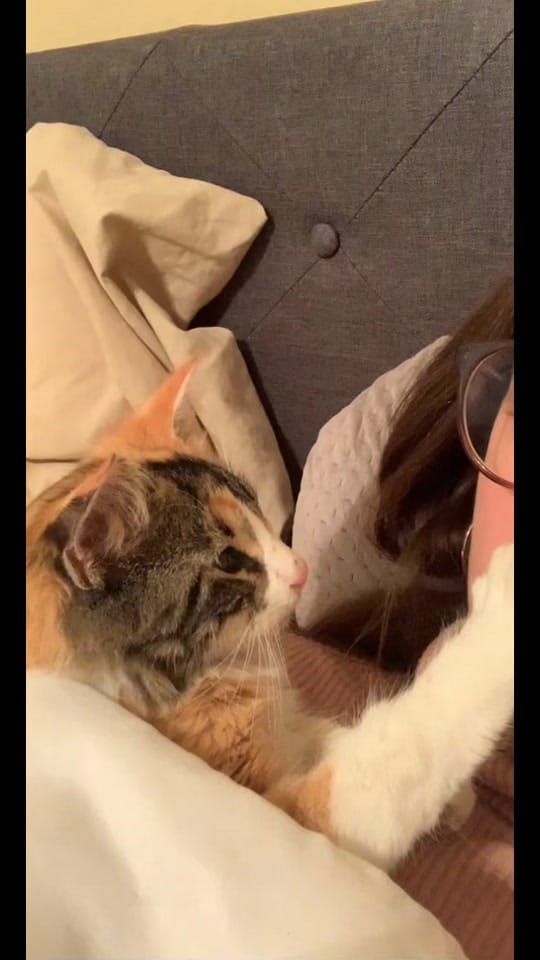 Post 7 by Georgia on TikTok (video)