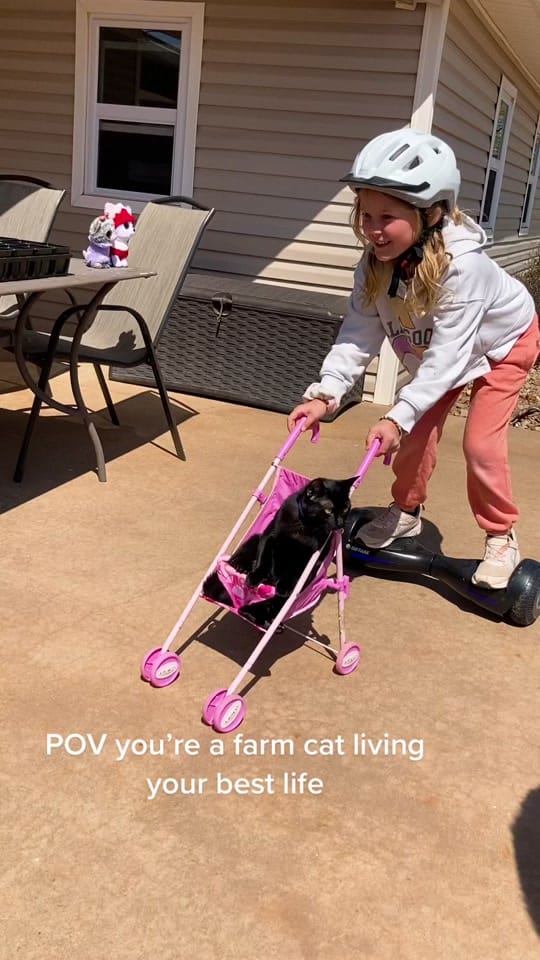 Post 4 by Georgia on TikTok (video)