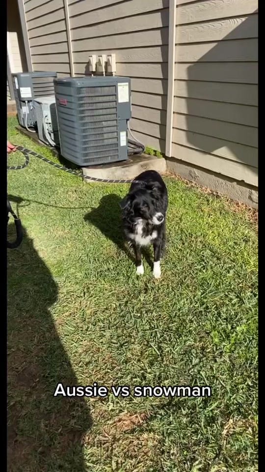 Post 6 by Georgia on TikTok (video)