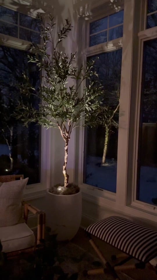 Post 4 by lifeoncedarlane on TikTok (video)