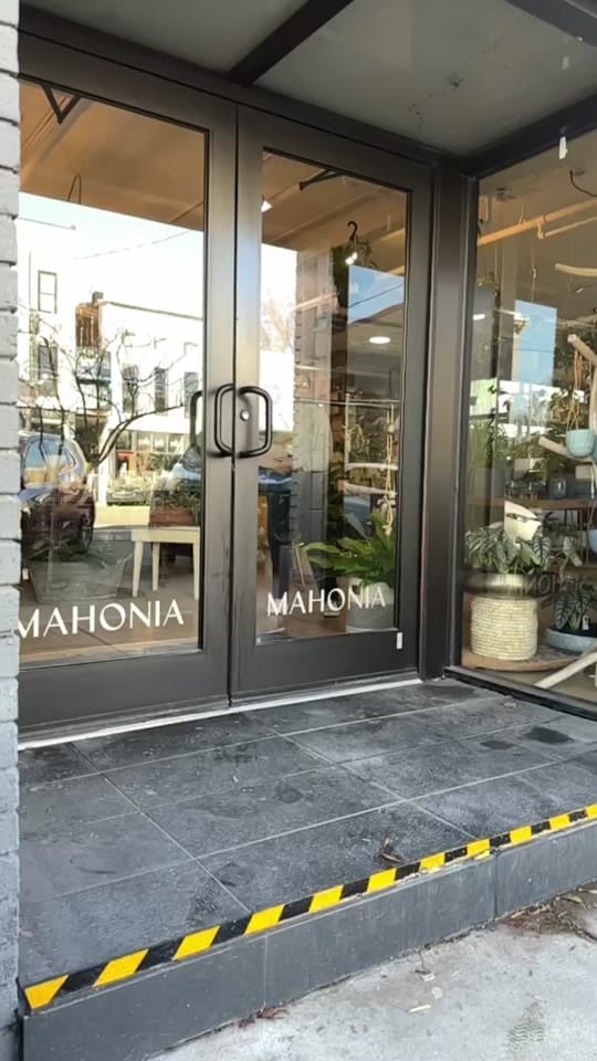 Post 3 by Mahonia on TikTok (video)