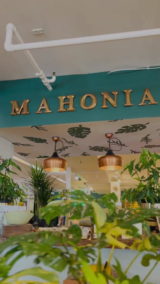 Post 4 by Mahonia on TikTok (video)