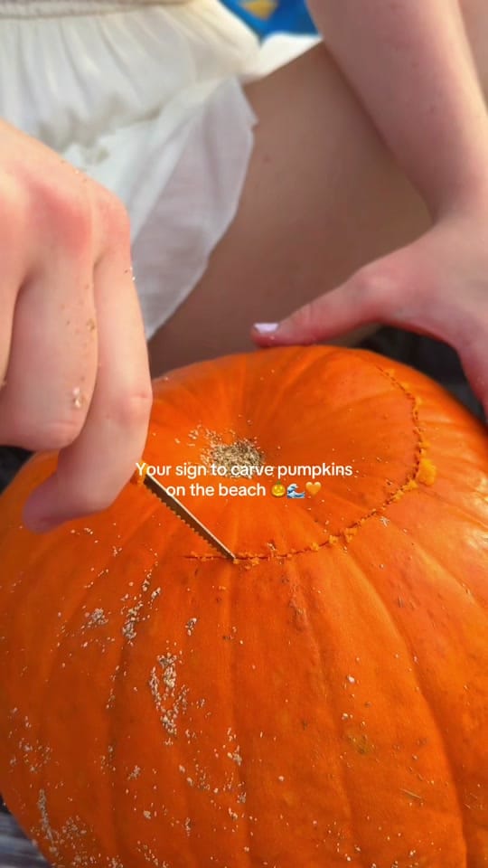 Post 10 by Happy Wahine on TikTok (video)