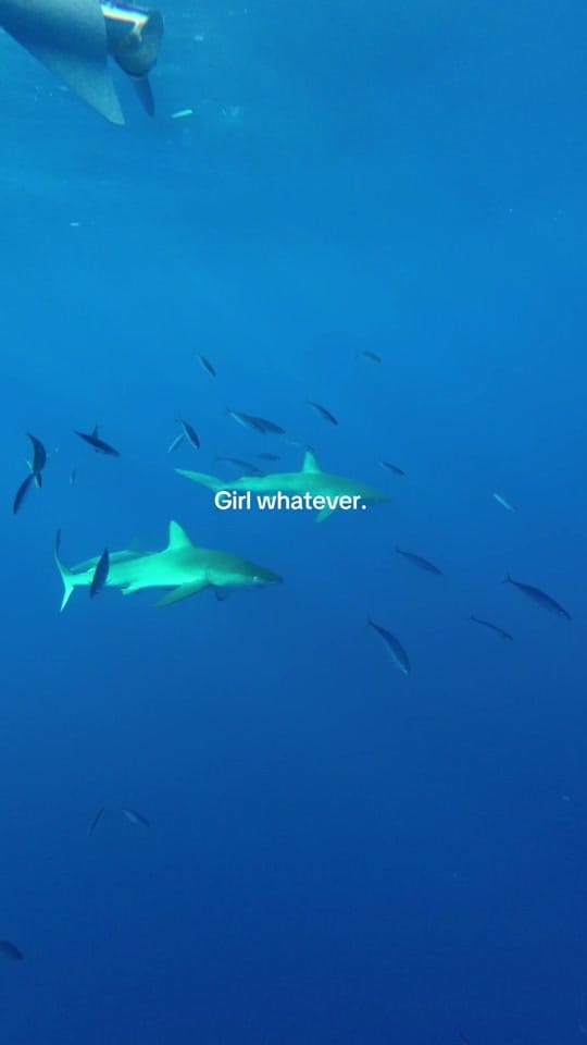 Post 4 by Happy Wahine on TikTok (video)