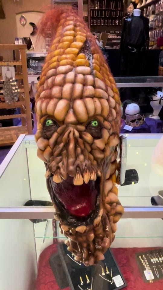 Post 7 by The Official Wizard’s Chest! on TikTok (video)